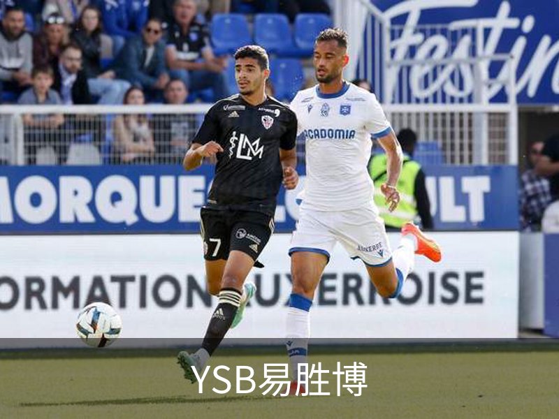 YSB易胜博概况
